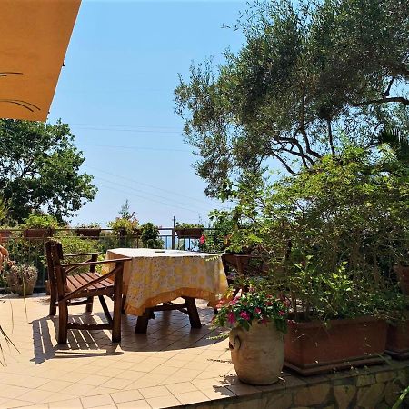 B&B Dei Fiori プラーイア・ア・マーレ エクステリア 写真