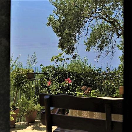 B&B Dei Fiori プラーイア・ア・マーレ エクステリア 写真
