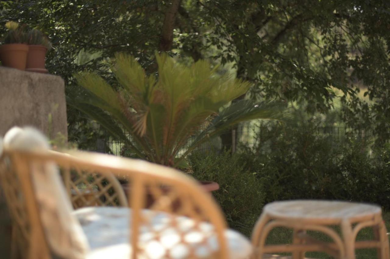 B&B Dei Fiori プラーイア・ア・マーレ エクステリア 写真