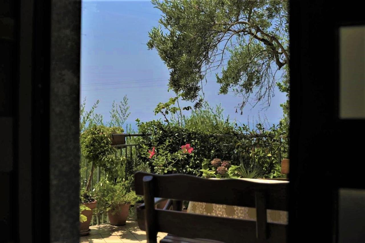 B&B Dei Fiori プラーイア・ア・マーレ エクステリア 写真