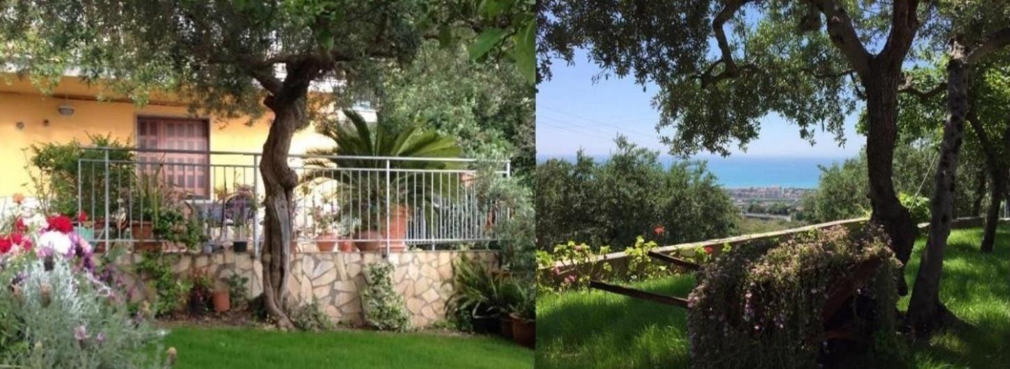 B&B Dei Fiori プラーイア・ア・マーレ エクステリア 写真