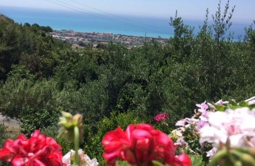 B&B Dei Fiori プラーイア・ア・マーレ エクステリア 写真