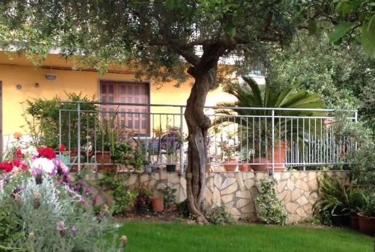 B&B Dei Fiori プラーイア・ア・マーレ エクステリア 写真