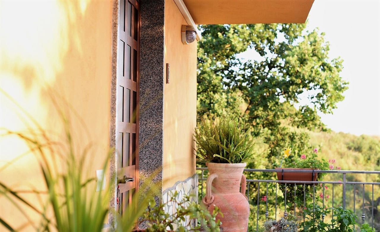 B&B Dei Fiori プラーイア・ア・マーレ エクステリア 写真