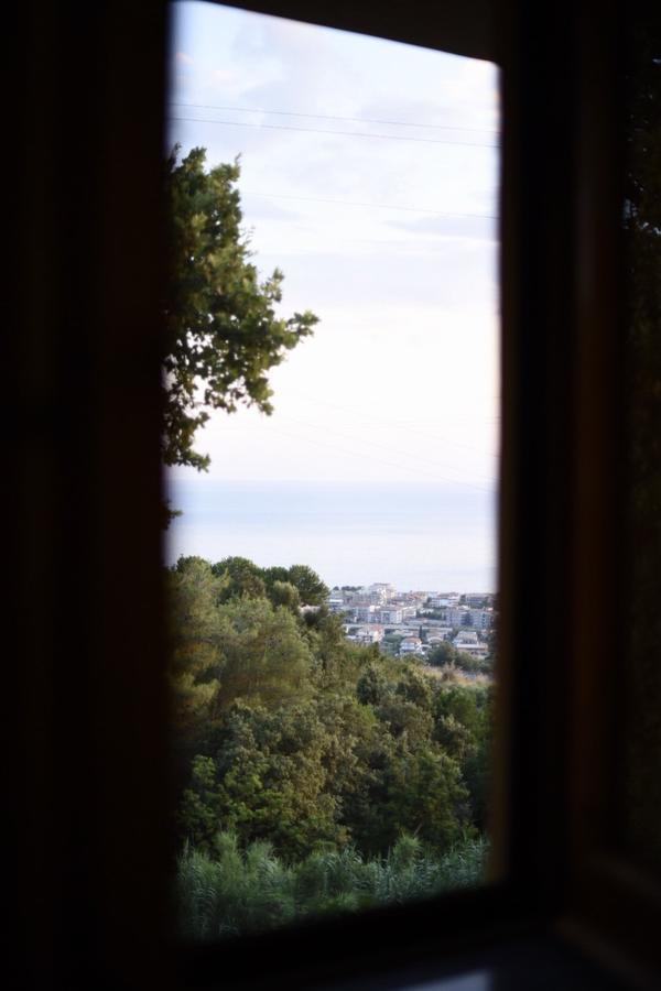 B&B Dei Fiori プラーイア・ア・マーレ エクステリア 写真